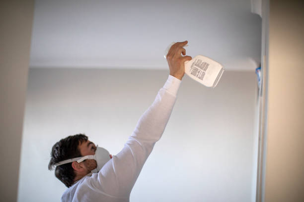 Best Residential Mold Removal  in Anahola, HI