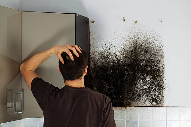 Best Crawl Space Mold Removal  in Anahola, HI